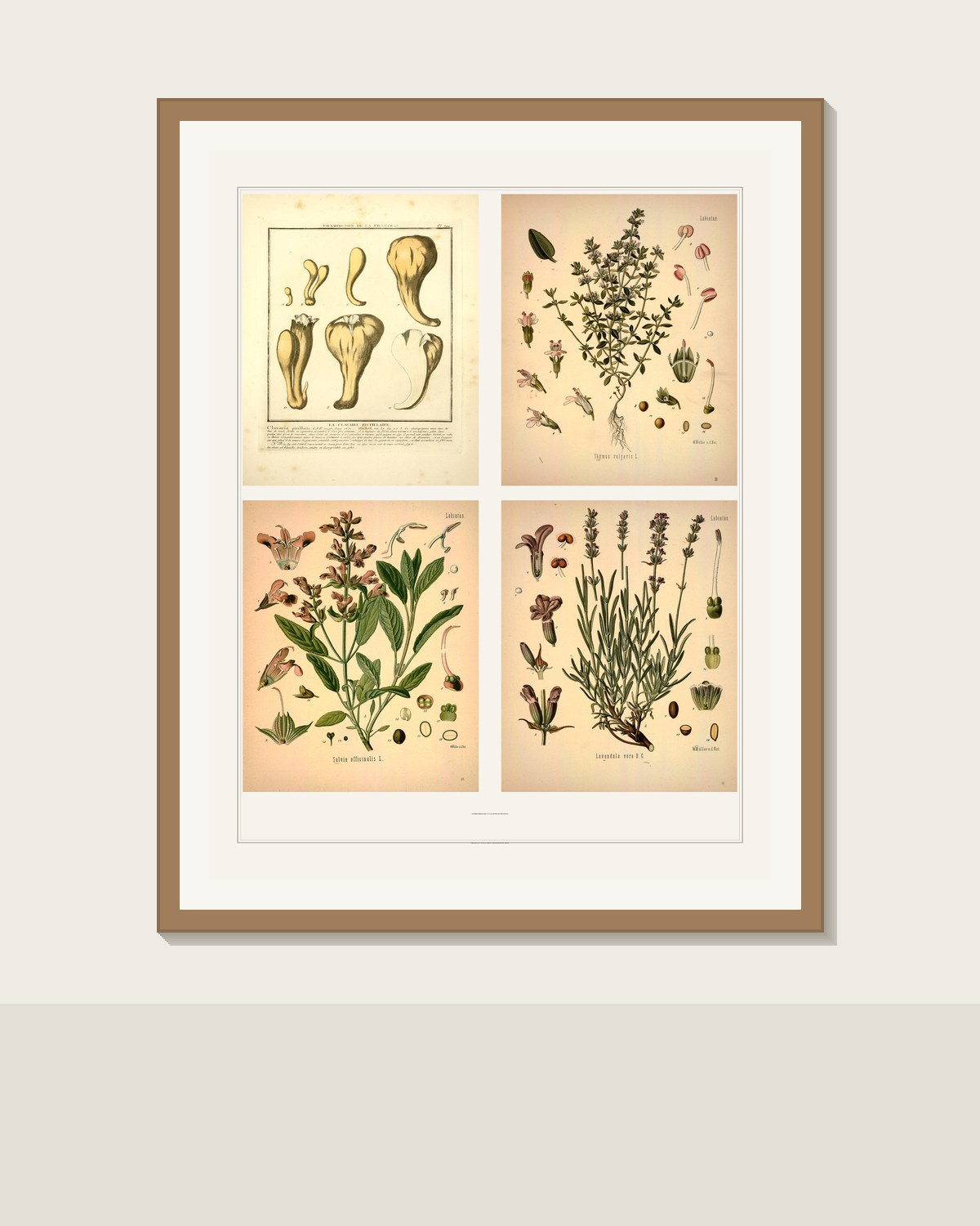 French herb botanical print framed in dark wood and gold on rustic kitchen counter with olive oil and fresh herbs